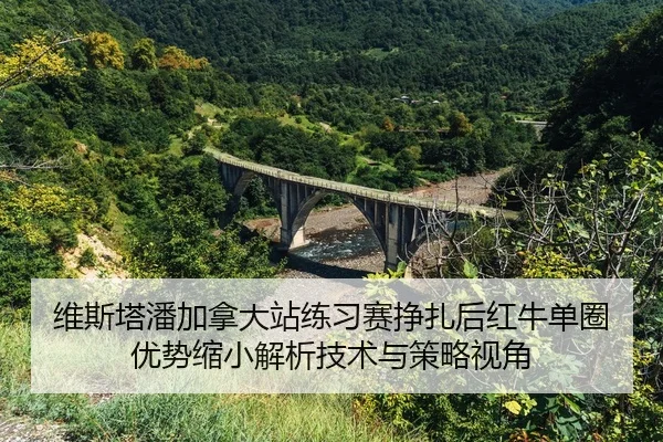 wei-si-ta-pan-jia-na-da-zhan-lian-xi-sai-zheng-zha-hou-hong-niu-dan-quan-you-shi-suo-xiao-jie-xi-ji-shu-yu-ce-lve-shi-1-555.jpg